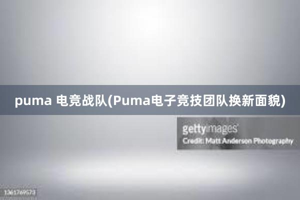 puma 电竞战队(Puma电子竞技团队换新面貌)