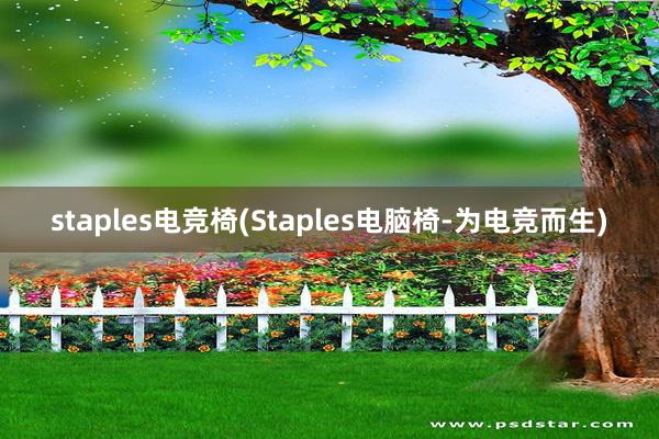 staples电竞椅(Staples电脑椅-为电竞而生)