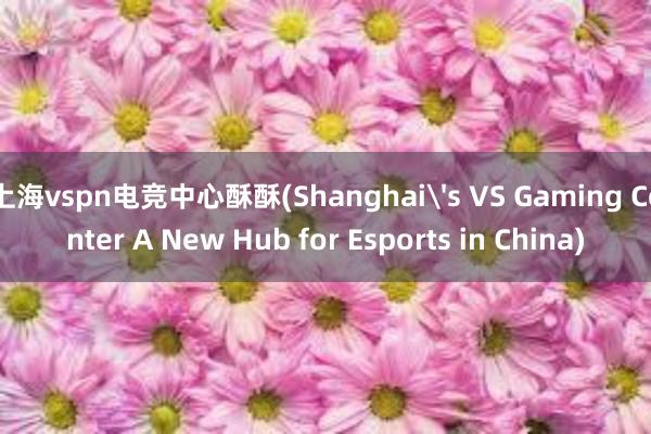 上海vspn电竞中心酥酥(Shanghai's VS Gaming Center A New Hub for Esports in China)