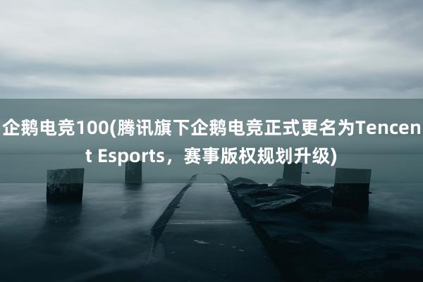 企鹅电竞100(腾讯旗下企鹅电竞正式更名为Tencent Esports，赛事版权规划升级)