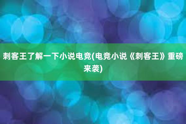 刺客王了解一下小说电竞(电竞小说《刺客王》重磅来袭)