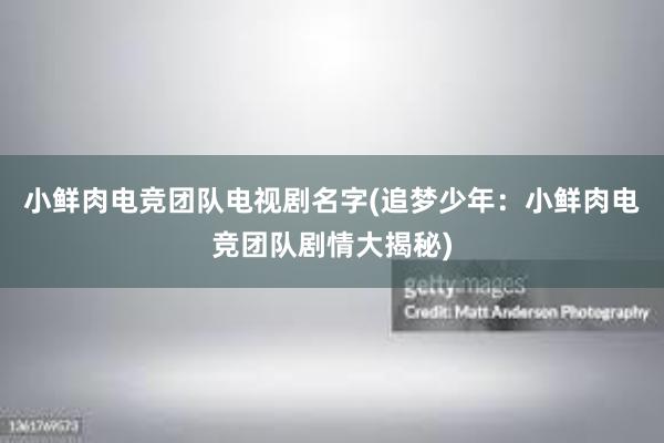 小鲜肉电竞团队电视剧名字(追梦少年：小鲜肉电竞团队剧情大揭秘)