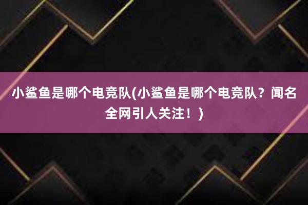 小鲨鱼是哪个电竞队(小鲨鱼是哪个电竞队？闻名全网引人关注！)