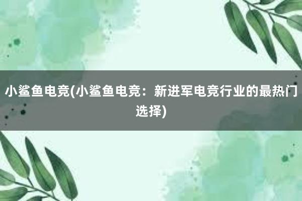 小鲨鱼电竞(小鲨鱼电竞：新进军电竞行业的最热门选择)