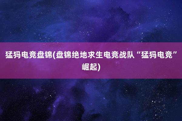 猛犸电竞盘锦(盘锦绝地求生电竞战队“猛犸电竞”崛起)