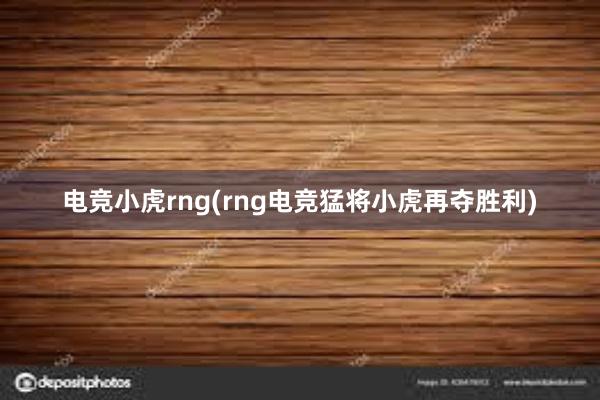 电竞小虎rng(rng电竞猛将小虎再夺胜利)