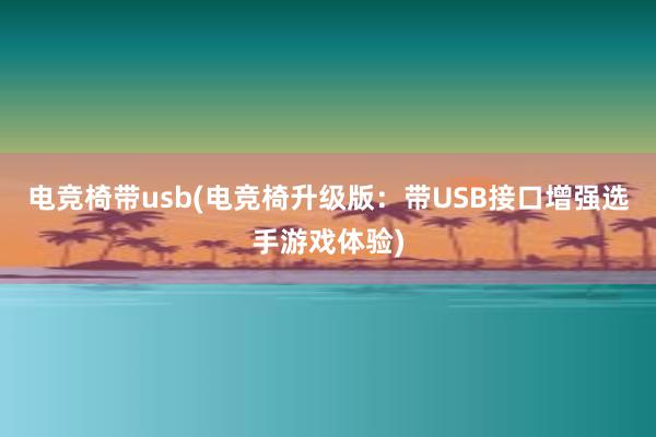 电竞椅带usb(电竞椅升级版：带USB接口增强选手游戏体验)