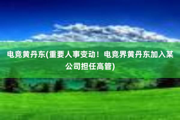 电竞黄丹东(重要人事变动！电竞界黄丹东加入某公司担任高管)