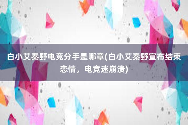 白小艾秦野电竞分手是哪章(白小艾秦野宣布结束恋情，电竞迷崩溃)