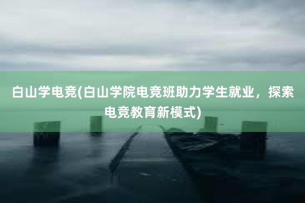 白山学电竞(白山学院电竞班助力学生就业，探索电竞教育新模式)