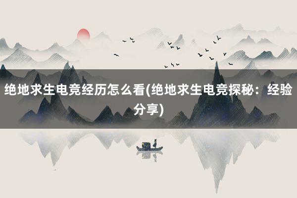 绝地求生电竞经历怎么看(绝地求生电竞探秘：经验分享)