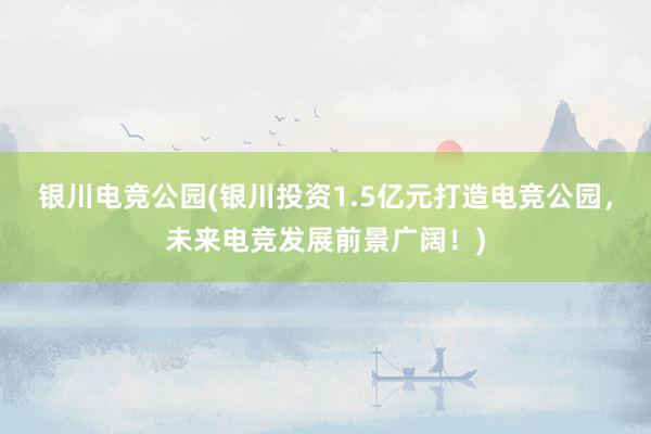 银川电竞公园(银川投资1.5亿元打造电竞公园，未来电竞发展前景广阔！)