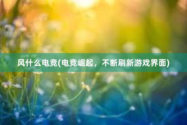 风什么电竞(电竞崛起，不断刷新游戏界面)