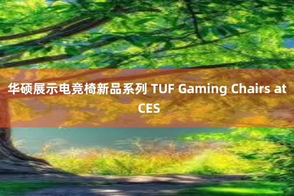 华硕展示电竞椅新品系列 TUF Gaming Chairs at CES