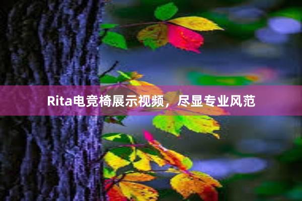 Rita电竞椅展示视频，尽显专业风范