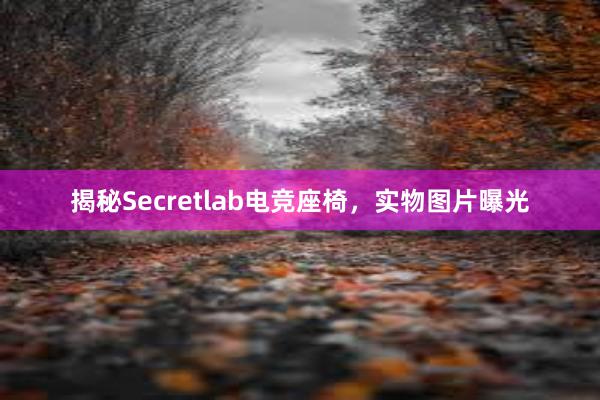 揭秘Secretlab电竞座椅，实物图片曝光