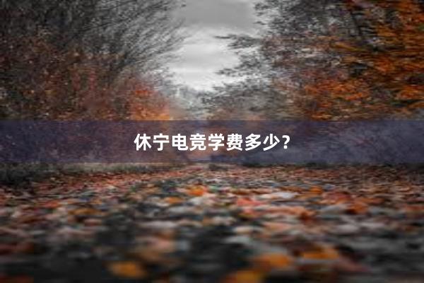 休宁电竞学费多少？