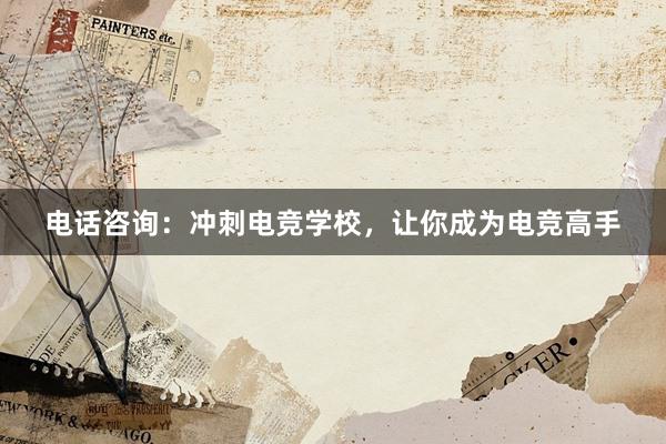 电话咨询：冲刺电竞学校，让你成为电竞高手