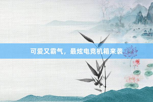 可爱又霸气，最炫电竞机箱来袭