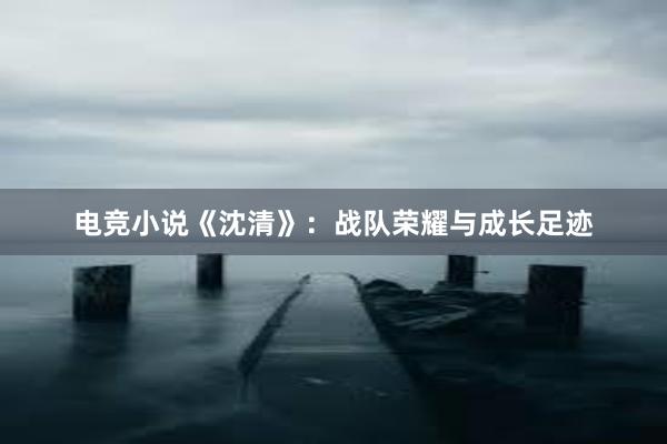 电竞小说《沈清》：战队荣耀与成长足迹